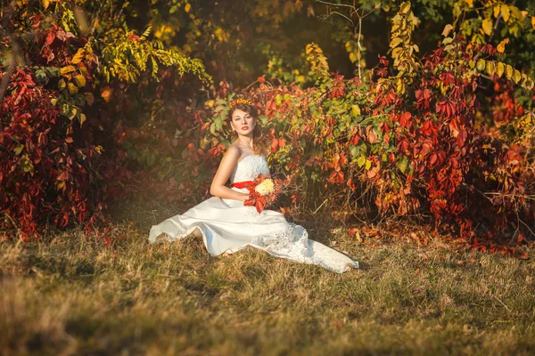Nevěsta v podzimní Bushe — Stock fotografie