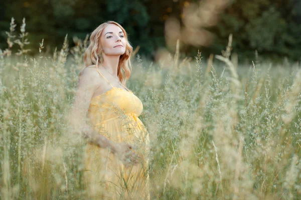Menina grávida em um campo olhando para a distância — Fotografia de Stock