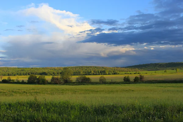 Landscape — Stock Photo, Image