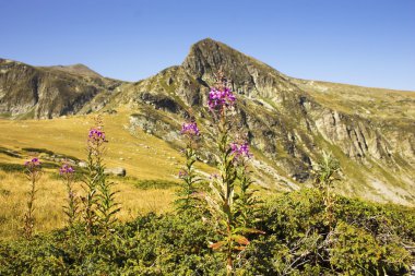 Güzel Rila Dağı, Bulgaristan