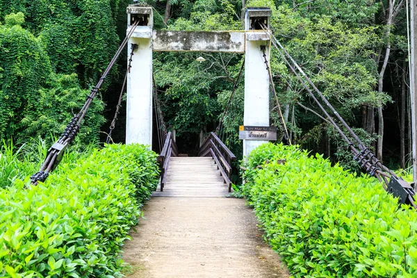 Ponte através do jardim verde Imagem De Stock