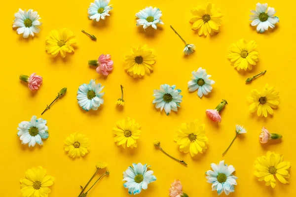 Wzór Wiosennych Kwiatów Żółtym Tle Chryzantemy Niebieskie Żółte — Zdjęcie stockowe