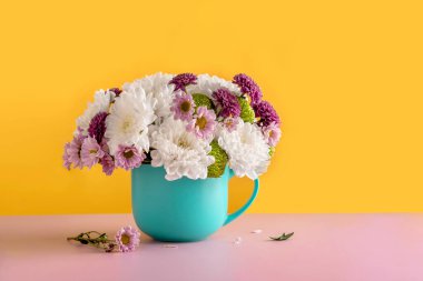 Sarı arka planda mavi bir fincanda beyaz kasımpatı çiçekleri. Kasımpatı çiçeklerinin yaz çiçeği arka planı. 