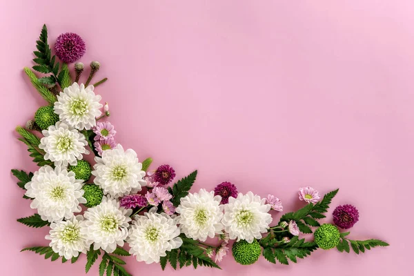 Kompozycja Kwiatów Kolorowe Kwiaty Chryzantemy Izolowane Różowym Tle Letni Wieniec — Zdjęcie stockowe
