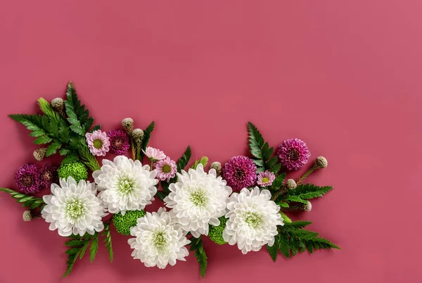 Kompozycja Kwiatów Kolorowe Kwiaty Chryzantemy Izolowane Różowym Tle Letni Wieniec — Zdjęcie stockowe