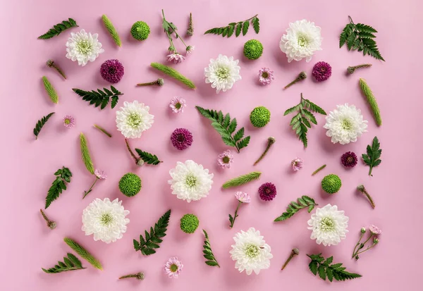 Floral Flat Lay Composición Flores Colores Crisantemo Deja Helecho Aislado Fotos de stock libres de derechos