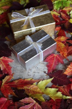 Sonbahar yaprakları ve hediyeler