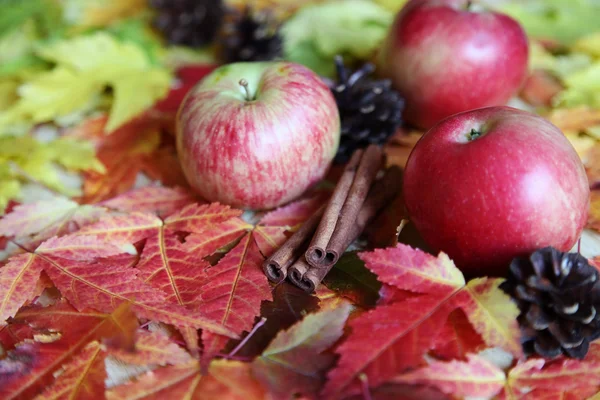 Manzana de otoño —  Fotos de Stock