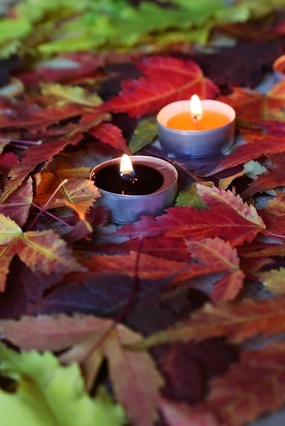 Hintergründe zum Herbst — Stockfoto