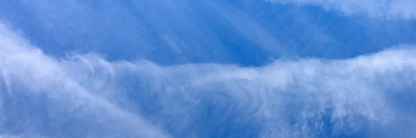 bright blue sky with cloud. banner