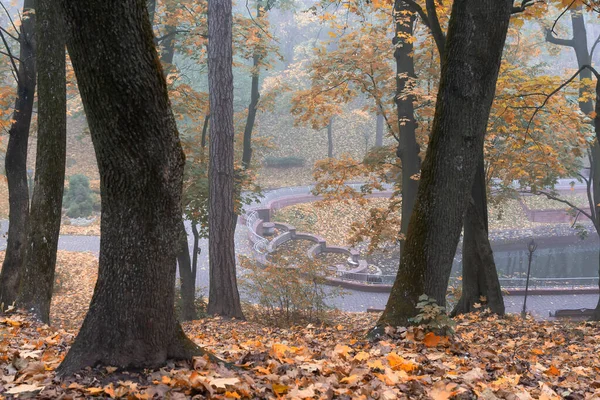 Park Miejski Jesienią Mglisty Poranek Homel Białoruś — Zdjęcie stockowe