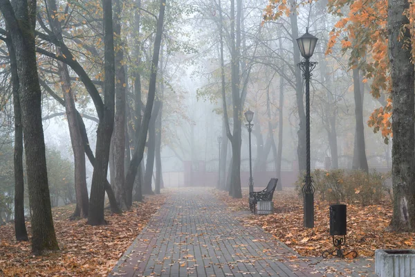 Sonbaharda şehir parkı, sisli bir sabah. Gomel, Belarus.