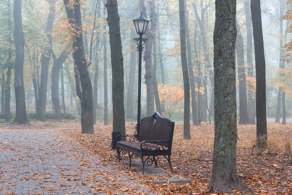 Stadtpark Herbst Nebliger Morgen Gomel Weißrussland — Stockfoto