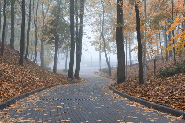 Városi Park Ősszel Ködös Reggel Gomel Fehéroroszország — Stock Fotó