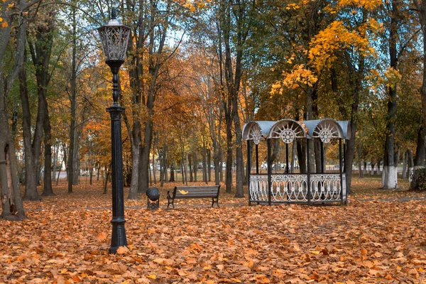 Parco Cittadino Autunno Mattina Soleggiata Gomel Bielorussia — Foto Stock