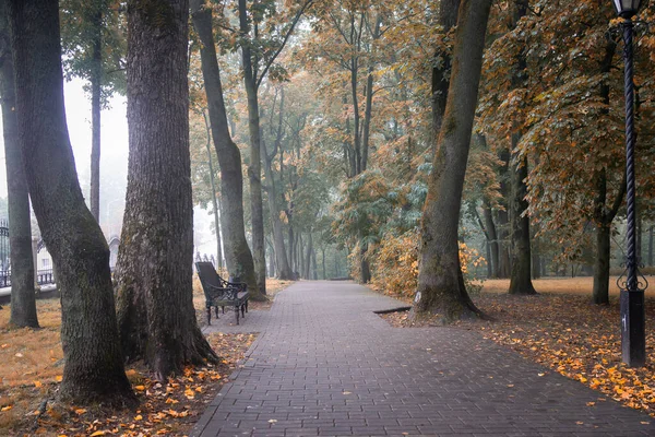 Early Foggy Morning Park Gomel Belarus — Stock Photo, Image