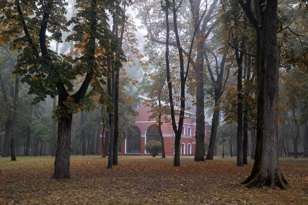 Early Foggy Morning Park Gomel Belarus — Stock Photo, Image