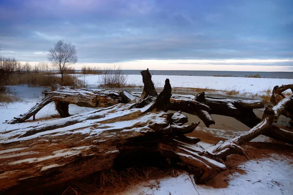 Landscape Winter Sunset Coast Gulf Finland — Stock Photo, Image