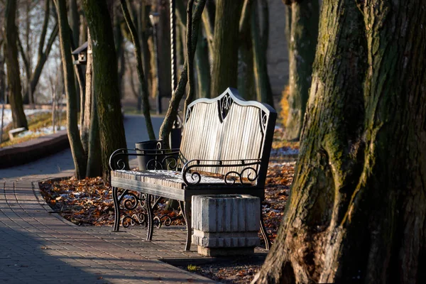 Güneşli bir kış sabahında park bankında.