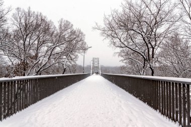 Gomel Parkı, Belarus 'ta kış, karlı bir sabah.