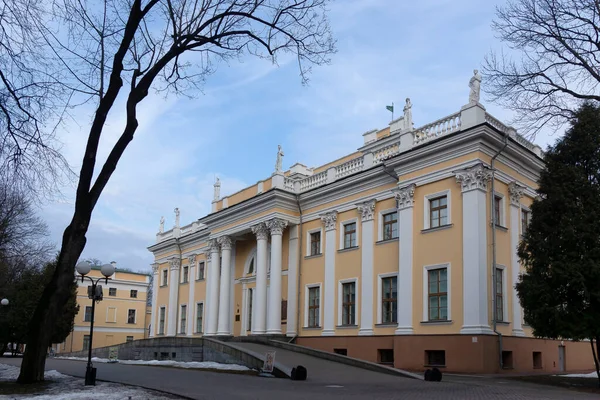 Palace Rumyantsevs Paskevichs Gomel Palace Park Ensemble Winter Named Lunacharsky — Stock Photo, Image