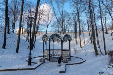 Gomel Parkı, Belarus 'ta kış, karlı bir sabah.