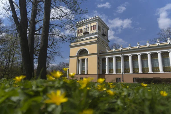 Дворец Румянцевых Паскевиков Гомельский Дворцово Парковый Ансамбль Зимой Имени Луначарского — стоковое фото