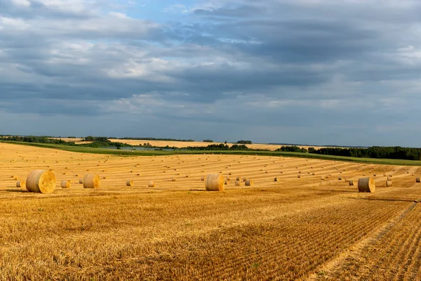 Sheaves Straw Background Field Horizon Beautiful Sky — Stock Photo, Image