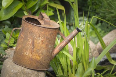 Bahçede küçük bir gölet, bir zambak ve eski bir sulama kabı şeklinde bir çeşme..