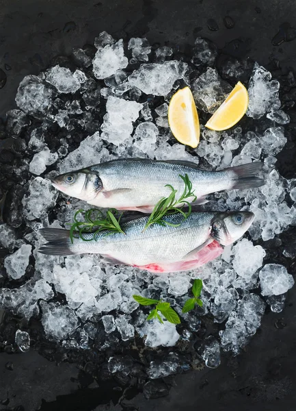 Peixe-marinho cru com limão e alecrim — Fotografia de Stock
