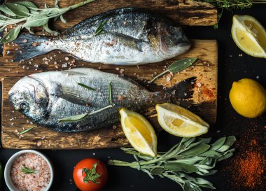 Taze çiğ dorado 