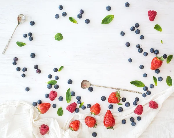 Berry frame with copy space on right — Stock Photo, Image