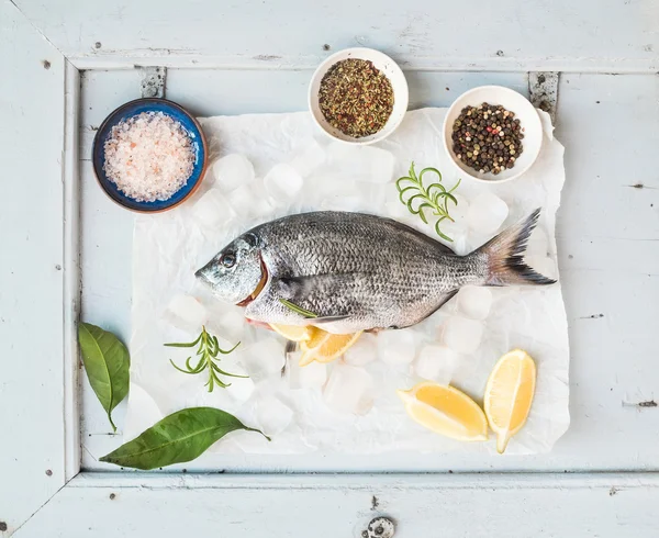 Fresh uncooked sea bream fish with lemon — Stock fotografie