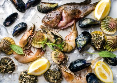 Otlar ve limon ile taze deniz ürünleri 