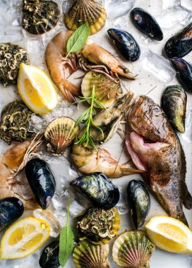 Otlar ve limon ile taze deniz ürünleri 