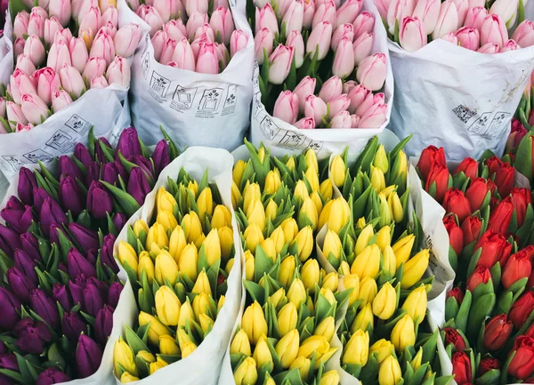 Kleurrijke tulpen op bloemenmarkt — Stockfoto