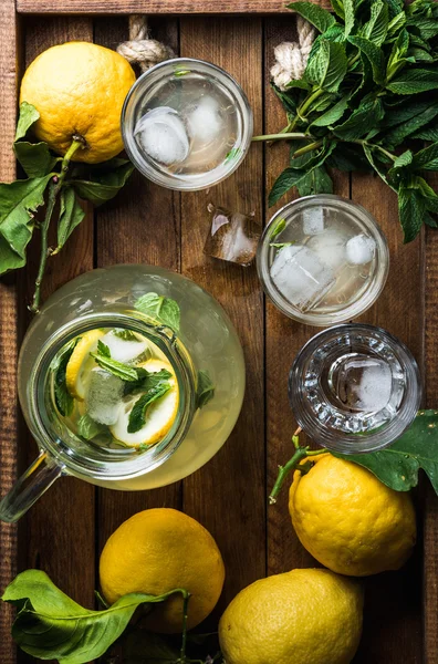 Limonada de menta casera —  Fotos de Stock