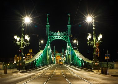 Özgürlük Köprüsü Budapeşte'gece görünümü