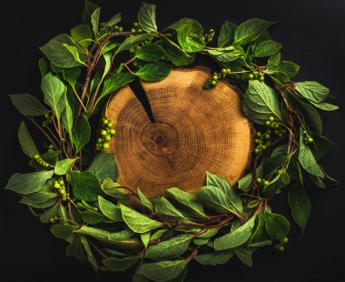 Schisandra chinensis çelenk ile arka plan 