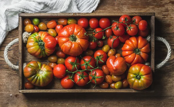 Colorful tomatoes of different sizes