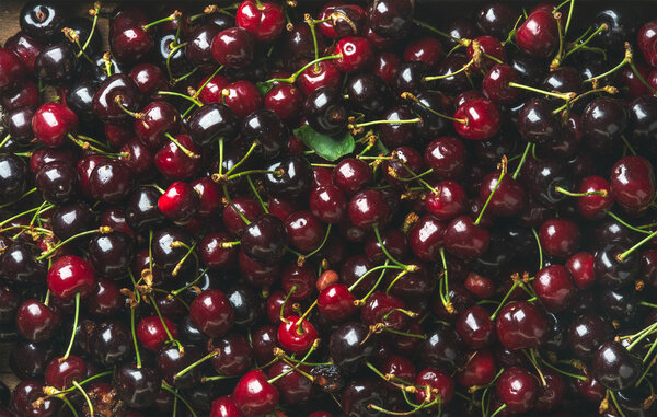 Background of dark red sweet cherries 