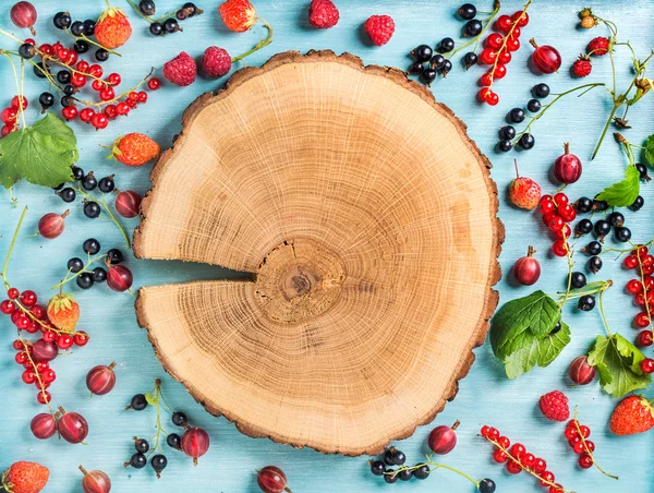 Zdravé letní zahradní berry odrůda — Stock fotografie