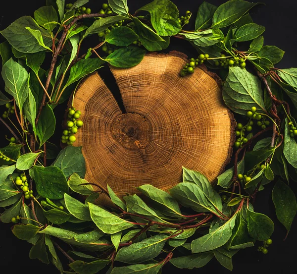 Fundo com a grinalda Schisandra chinensis — Fotografia de Stock