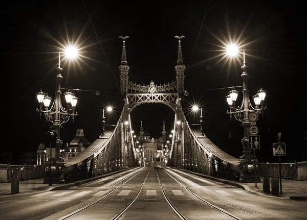 Vrijheidsbrug in de begroting — Stockfoto