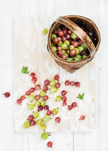 Ripe garden gooseberries — Stock Photo, Image