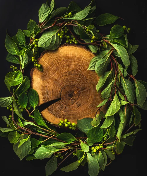 Fondo con corona de Schisandra chinensis — Foto de Stock