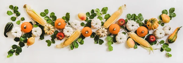 Herfst Bloemen Lay Out Platte Lay Van Kleurrijke Herfstpompoenen Seizoensappels — Stockfoto