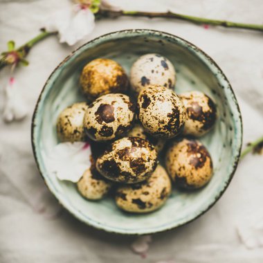 Paskalya bıldırcın yumurtaları ve çiçek açan badem ağaçları, kare mahsuller.