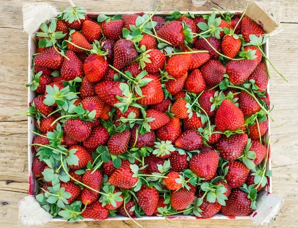 A box of fresh strawberry — Stock Photo, Image