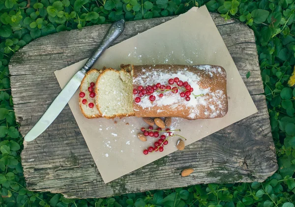 Bolo de frutas com groselha vermelha e amêndoa no jardim — Fotografia de Stock